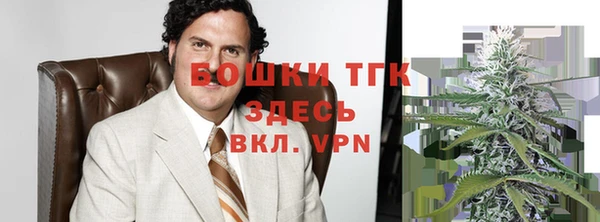твердый Пересвет