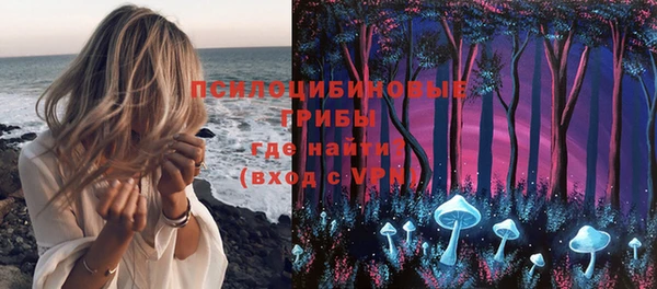 твердый Пересвет