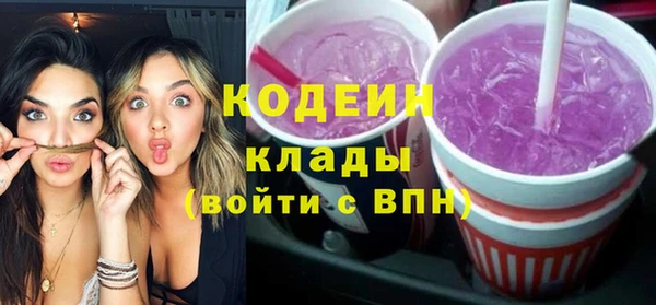 твердый Пересвет