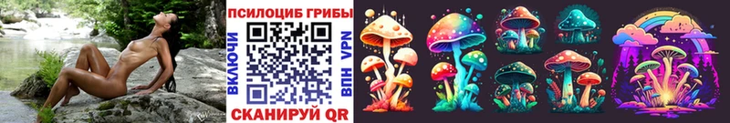 Галлюциногенные грибы ЛСД  Камень-на-Оби 