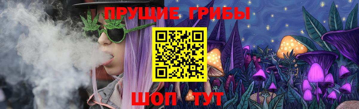 Галлюциногенные грибы мухоморы Камень-на-Оби