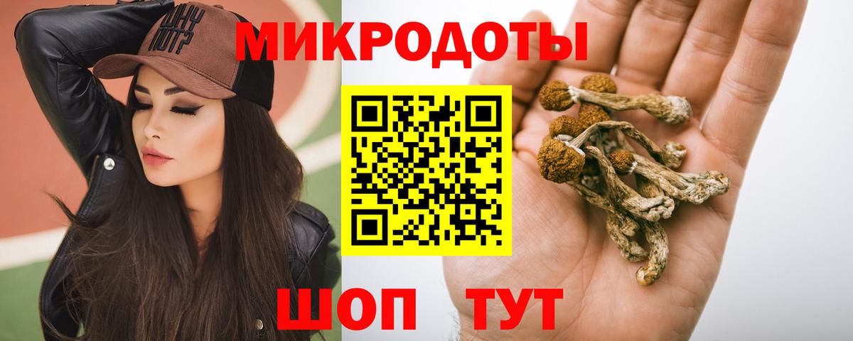 Галлюциногенные грибы ЛСД  Галлюциногенные грибы Psilocybe  Вход с VPN  Камень-на-Оби 